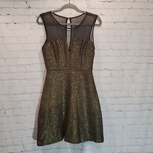 aryn K. Gold and black mesh special occasion dress